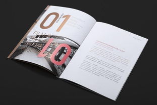 解析深圳產(chǎn)品目錄設(shè)計與VI系統(tǒng)的復(fù)雜性與代理代辦服務(wù)